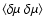 $\langle\delta\mu~\delta\mu\rangle$