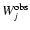 $W_j^{\rm obs}$