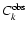 $C_k^{\rm obs}$