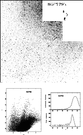 \begin{figure}
\par\includegraphics[width=14.5cm,clip]{Fig2_9.ps}
\end{figure}
