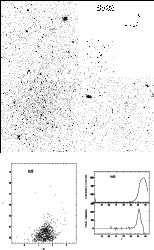 \begin{figure}
\par\includegraphics[width=13.5cm,clip]{Fig2_1.ps}\end{figure}