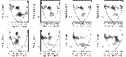 \begin{figure}
\par\includegraphics[width=16cm,clip]{Fa232_F4.eps}
\end{figure}