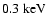 $0.3\ {\rm keV}$