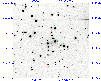 \begin{figure}
\par\includegraphics[width=8.8cm,clip]{H4203_1.ps}
\end{figure}