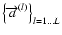 $\left\{ \overrightarrow{a}^{(l)}\right\} _{l=1\ldots L}$