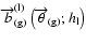 $\overrightarrow{b}_{\rm (g)}^{\rm (l)}\left(\overrightarrow{\theta }_{\rm (g)};h_{\rm l}\right)$