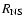 $R_{\rm NS}$