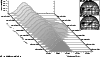 \begin{figure}
\par\includegraphics[width=8.8cm,clip]{ms3118-fig10}
\end{figure}