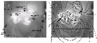 \begin{figure}
\par\includegraphics[width=17cm,clip]{ms3118-fig14}
\end{figure}
