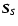 $\vec{S}_S$