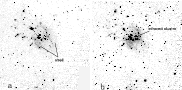 \begin{figure}
\par\includegraphics[width=16cm,clip]{3036.f1.eps}
\end{figure}