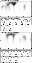 \begin{figure}
\par\includegraphics[angle=270,scale=0.5]{gus-ii01fem.ps}\\
\inc...
...hics[bb=133 130 379 656,clip,angle=270,scale=0.473]{gus-ii01caln.ps}\end{figure}