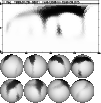 \begin{figure}
\par\includegraphics[angle=270,width=8.8cm,clip]{gus-ii99fcm.ps}\...
...-1mm}
\includegraphics[angle=270,width=2.1cm,clip]{gus-ii990875.ps}\end{figure}