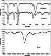 \begin{figure}
\par\includegraphics[width=8.8cm,clip]{Fig10.ps}\vspace*{3mm}
\includegraphics[width=8.8cm,clip]{Fig10b.eps}\end{figure}