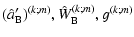 $\displaystyle (\hat{a}'_{\rm B})^{(k;m)}, \hat{W}_{\rm B}^{(k;m)}, g^{(k;m)}$