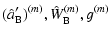 $\displaystyle (\hat{a}'_{\rm B})^{(m)}, \hat{W}_{\rm B}^{(m)}, g^{(m)}$