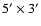 $ 5^{\prime}\times
3^{\prime}$