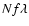 $Nf\lambda$