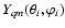 $Y_{qm}(\theta_i,\varphi_i)$