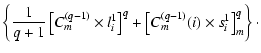 $\displaystyle \left \{ \frac {1}{q + 1}
\left [C_m ^{(q -1)} \times l_i^1 \right ]^{q} +
\left[ C_m ^{(q -1)}(i) \times s_i^1 \right ]_m^{q} \right \}\cdot$