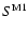 $S^{\rm M1}$