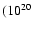 $({\rm 10^{20}}$