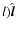 $l ) \hat {\vec l}$