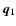 $\vec{q}_1$