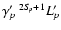 $\gamma_p'~^{2S\!_p+1}L_p'$