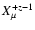 $X^{+z-1}_{\mu}$
