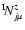 $^{{\rm I}}\!N^{z}_{j\mu}$