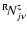 $^{{\rm R}}\!N^{z}_{j\nu}$