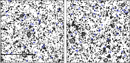 \begin{figure}
\par\includegraphics[width=8cm,clip]{H4385F2.ps}\hspace*{3mm}
\includegraphics[width=8cm,clip]{H4385F3.ps}
\end{figure}
