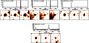 \begin{figure}
\par\epsfig{file=H4385F55.ps, width=5.3cm}\epsfig{file=H4385F56.p...
...pace*{5.5cm}\epsfig{file=H4385F58.ps, width=5.3cm}\hspace*{5.5cm}}\end{figure}