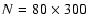 $N=80\times 300$