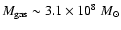 $M_{\rm gas}\sim3.1\times10^{8}~M_{\odot}$