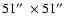 $51\hbox{$^{\prime\prime}$ }\times51\hbox{$^{\prime\prime}$ }$