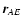 $\vec r_{AE}$