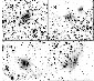 \begin{figure}
\par\resizebox{7.3cm}{!}{\includegraphics[clip]{h4195f2.eps}}\end{figure}