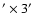 $^{\prime }\times 3^{\prime }$