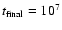 $t_{\rm final}=10^{7}$