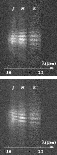 \begin{figure}
\par\resizebox{5cm}{!}{\rotatebox{0}{\includegraphics{3790F1.ps}}}
\end{figure}