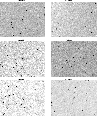 \begin{figure*}
\par\centerline
{\hskip 3.5cm VLG014 \hskip 7.1cm VLG022}
\mbox...
...x{VLG043.eps}\hskip 1cm
\epsfxsize=8.0cm \epsfbox{VLG045.eps} }
\end{figure*}