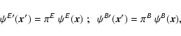 \begin{displaymath}\psi^{E\prime}({\vec x}')=\pi^{E}~\psi^{E}({\vec x})\; ;
\;\;
\psi^{B\prime}({\vec x}')=\pi^{B}~\psi^{B}({\vec x}),
\end{displaymath}