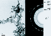 \begin{figure}
\par\includegraphics[width=8.8cm,clip]{Fig2.eps} \end{figure}