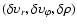 $(\delta\upsilon_r,\delta\upsilon_\varphi,\delta\rho)$