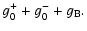 $\displaystyle g_0^++g_0^-+g_{\rm B}.$