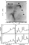 \begin{figure}
\par {\hspace*{7mm}\includegraphics[scale=0.4,clip]{H4459F2.eps}\hspace*{7mm}}
\par\includegraphics[scale=0.5,clip]{H4459F3.eps}
\end{figure}