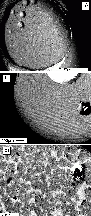 \begin{figure}
\par\includegraphics[width=8cm]{Ff191_f3a}\\ [1pt]
\includegraphi...
...idth=8cm]{Ff191_f3b}\\ [1pt]
\includegraphics[width=8cm]{Ff191_f3c} \end{figure}
