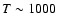$T \sim 1000$
